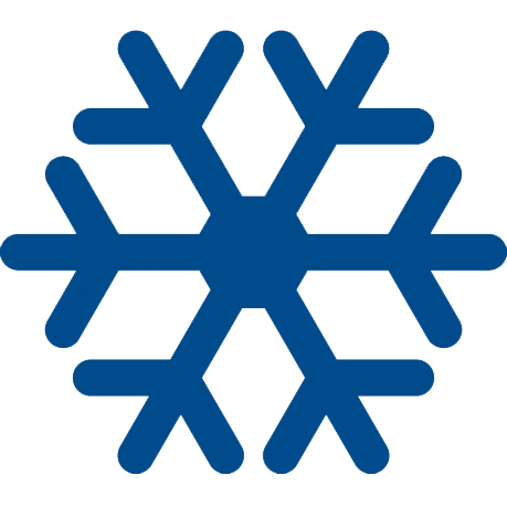 Logo of the International Glaciology Society